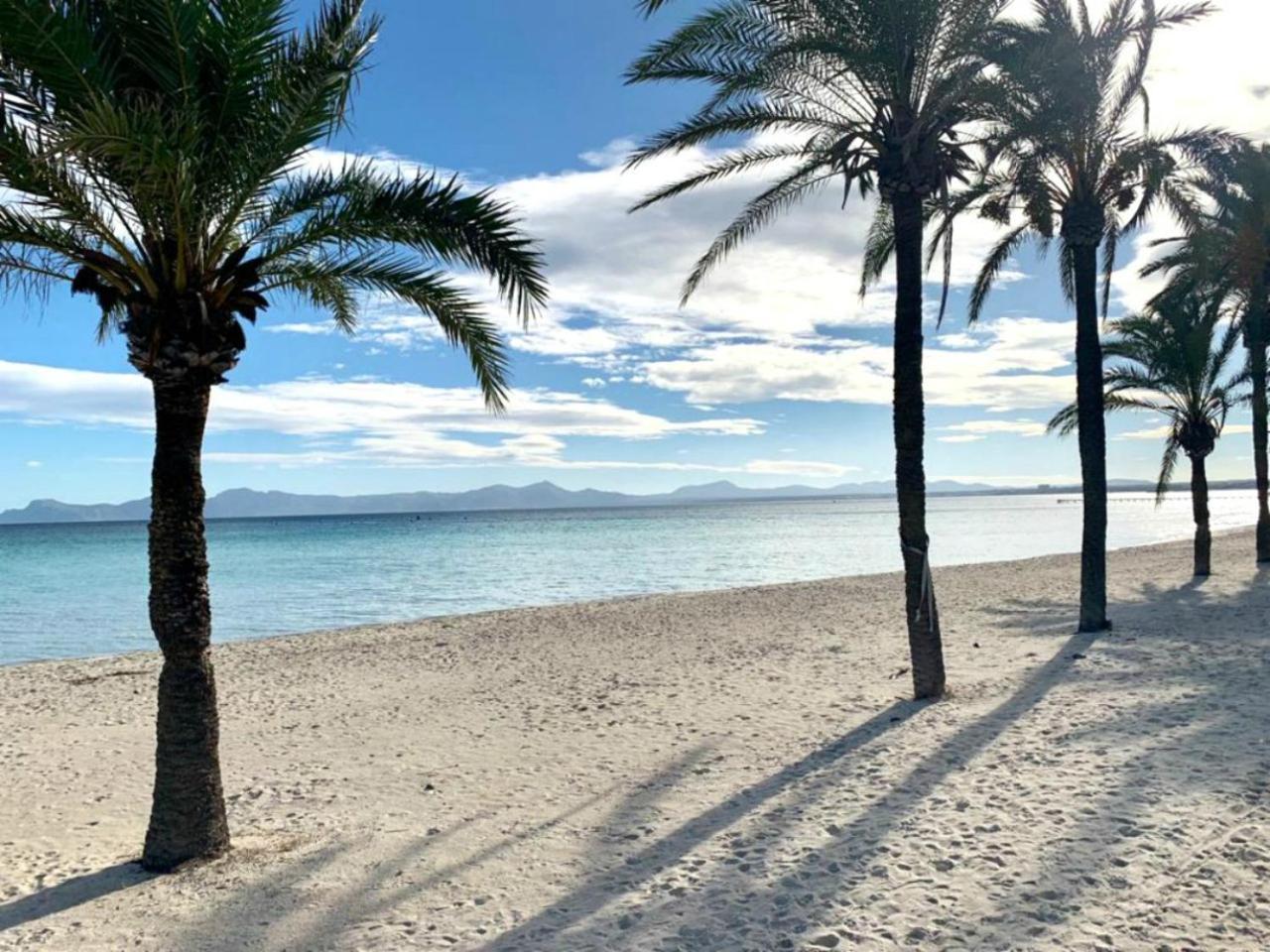 El Paraiso Αλκούδια Εξωτερικό φωτογραφία