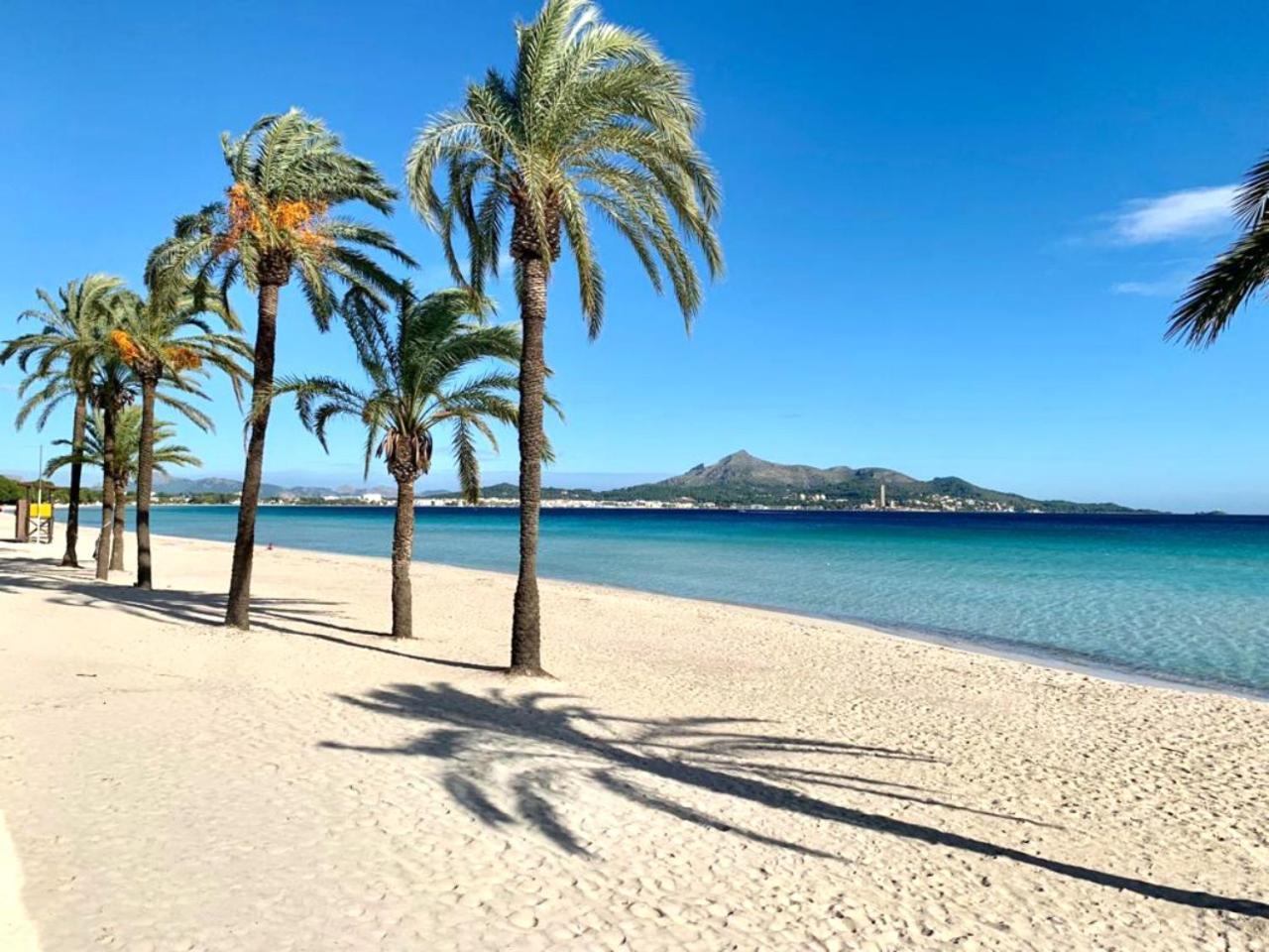 El Paraiso Αλκούδια Εξωτερικό φωτογραφία